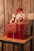 Canasta Cuero Premium - comprar online