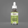 Extrato Fluido de Quebra Pedra - 100ml