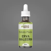 Extrato Fluido de Erva Baleeira - 100ml