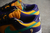 Tênis Nike SB Dunk "Lisa Leslie" - Beard&Sports