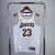 Regata Los Angeles Lakers -Association Edition #23 JAMES - comprar online
