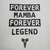 Camiseta Nike Forever Mamba - Beard&Sports