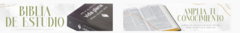 Banner de la categoría Biblias Vida Plena