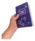 Santa Biblia - Vinílica Violeta (RVR 1960) - comprar online