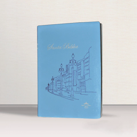 Biblia Económica Vinílica - Tapa Cielo (RVR 1960) - comprar online
