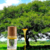 Óleo de Copaíba Produto Original da Amazônia 100% Puro 10 ml - comprar online