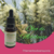 Óleo Vegetal de Melaleuca - 100% Natural e Vegano - 30ml