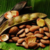 Óleo de Pracaxi - Produto Original Da Amazônia - 100% puro - 30ml na internet