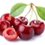CEREZA