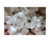 CRYSTAL QUARTZ
