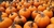 PUMKIN SPICE