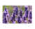 LAVANDER