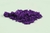 VIOLET 5GR - buy online