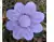 FLOR 4