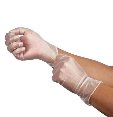 Luva De Vinil Não Cirurgica descartável sem pó Descarpack