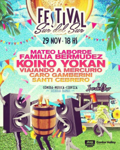 FESTIVAL 29 NOV - PREVENTA en internet