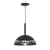 COLGANTE TREVISO CHAPA NEGRO FERROLUX