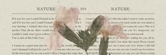 Banner de la categoría libros