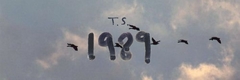 Banner de la categoría Taylor Swift 