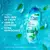 Head & Shoulders Shampoo para caspa Menta 375 ml (5864) en internet