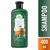 Shampoo Herbal Essences Bio Renew Aloe&Mango x 400ml (20226)