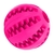 PETBALL FUN - loja online