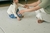 Tapete de Atividades Infantil Dupla Face - Bosque