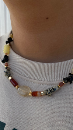 Collar Brandy