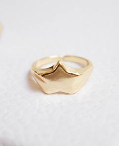 Anillo Wonder - comprar online