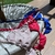 Top cortininha - Areia - loja online