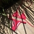 Imagem do Calcinha Marquinha Fio - Pink