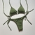 Biquíni Sol - Verde militar - comprar online