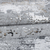 Imagem do Tapete Sala Vienna 250x300 - Todos Desenhos