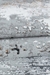 Imagem do Tapete Sala 400x500 Vienna Cinza Estonado 710