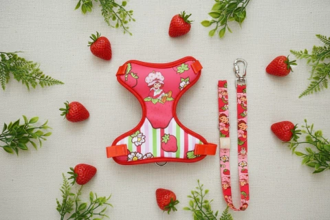 D175 - Peitoral Mesh Moranguinho Classic - comprar online