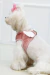 D126 - Peitoral Colete Anjo Rose - Oh My Dog!