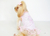 A154 - Vestido Bailarina - Oh My Dog!