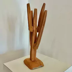 Cacto - comprar online