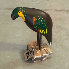 Papagaio Marron