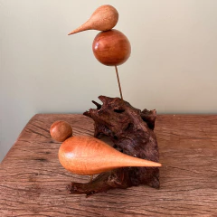 Pássaros Madeira na internet