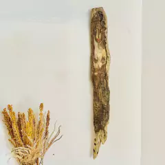 Totem Sereia | Parede