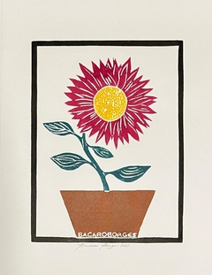 Girassol Vermelho | Xilogravura - comprar online