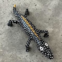 Lagarto - comprar online