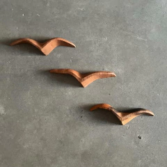 Gaivota P na internet