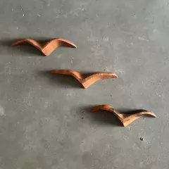 Gaivota G na internet