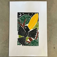 Tucano | Xilogravura