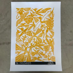 36 Pássaros - comprar online