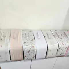 Imagen de VALIJA CON CIERRE