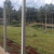 Tela Soldada - Fio (2,30 mm) - Malha 5 x 15 - Rolo 25m largura x 1,80 altura - comprar online