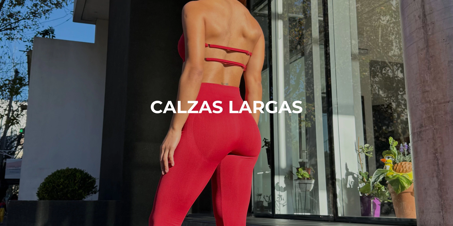 Banner de Dikka